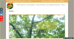 Desktop Screenshot of findlocaltreeservice.com